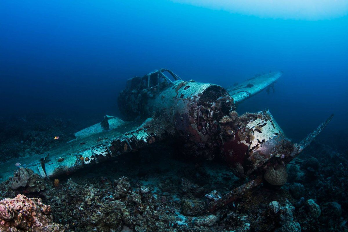 Дайвинг-сафари Удивительный Палау